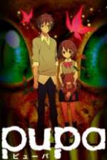 Watch Pupa 123movies
