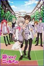 Watch Haiyore Nyaruko-san 123movies