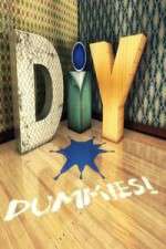 DIY Dummies