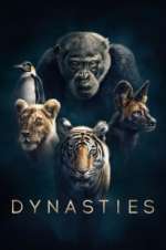 Watch Dynasties 123movies
