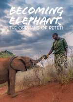 Watch Becoming Elephant: The Orphans Of Reteti 123movies