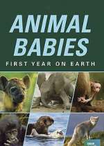 Animal Babies: First Year on Earth