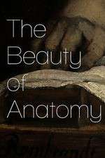 The Beauty of Anatomy