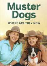 Watch Muster Dogs: Where Are They Now? 123movies