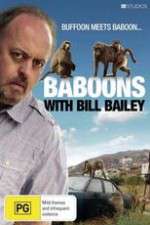 Baboons with Bill Bailey