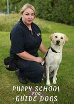 Puppy School for Guide Dogs