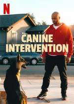 Canine Intervention