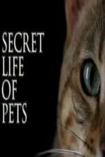 The Secret Life of Pets