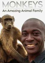 Monkeys: An Amazing Animal Family