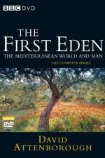 The First Eden