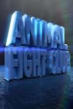 Animal Fight Club 