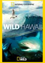 Wild Hawaii