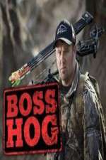 Boss Hog