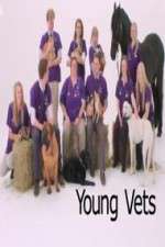 Young Vets