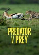 Predator v Prey