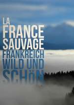 Watch Wild France 123movies
