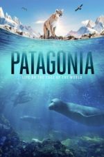 Patagonia: Life on the Edge of the World