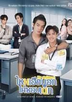 Watch My Stubborn 123movies