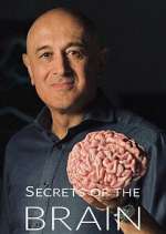 Watch Secrets of the Brain 123movies