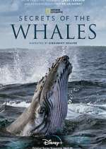 Secrets of the Whales