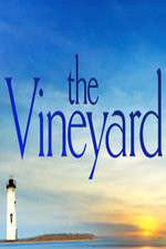 The Vineyard