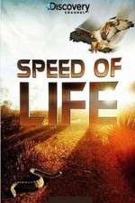 Discovery Channel Speed Of Life