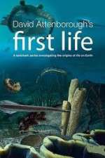 David Attenborough's First Life