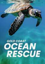 Gold Coast Ocean Rescue