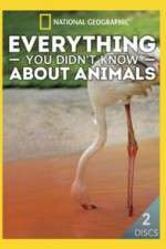 Everything You Didnt Know About Animals