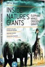 Inside Nature's Giants