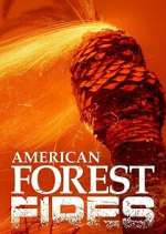 American Forest Fires: The Untold Story