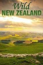 Wild New Zealand