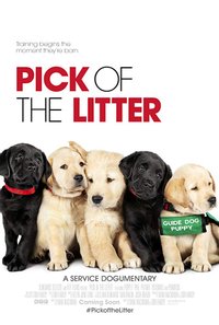 Pick Of The Litter