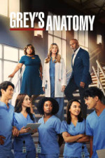 Grey's Anatomy - Season 20